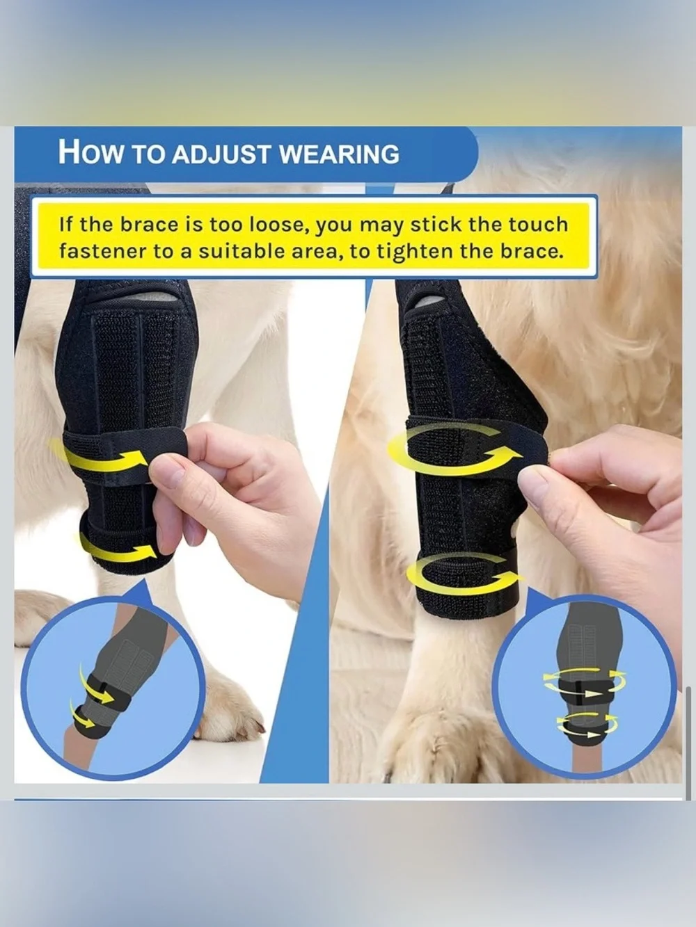 merrymilo stabilizes knee